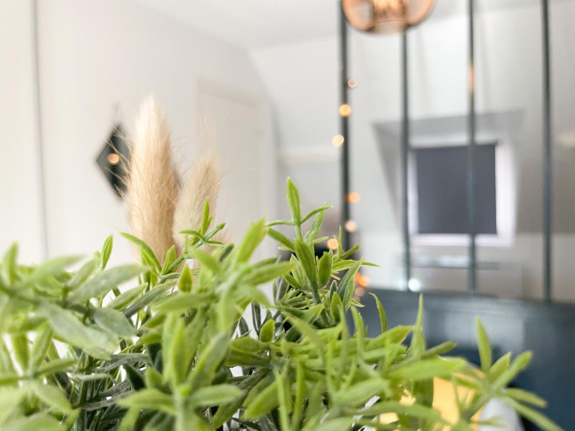 Le 12 Bis - Cosy Apartment Cherbourg-en-Cotentin Luaran gambar